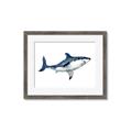 Picture of Shark Attack I   _GroupedProduct_Rectangle_Landscape_Mini_ _GroupedProduct_Rectangle_Landscape_Framed_Matted_