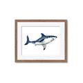 Picture of Shark Attack I   _GroupedProduct_Rectangle_Landscape_Mini_ _GroupedProduct_Rectangle_Landscape_Framed_Matted_