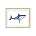 Picture of Shark Attack I   _GroupedProduct_Rectangle_Landscape_Mini_ _GroupedProduct_Rectangle_Landscape_Framed_Matted_