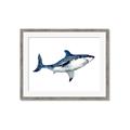 Picture of Shark Attack I   _GroupedProduct_Rectangle_Landscape_Mini_ _GroupedProduct_Rectangle_Landscape_Framed_Matted_