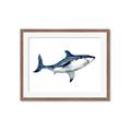 Picture of Shark Attack I   _GroupedProduct_Rectangle_Landscape_Mini_ _GroupedProduct_Rectangle_Landscape_Framed_Matted_