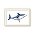 Picture of Shark Attack I   _GroupedProduct_Rectangle_Landscape_Mini_ _GroupedProduct_Rectangle_Landscape_Framed_Matted_