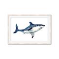 Picture of Shark Attack I   _GroupedProduct_Rectangle_Landscape_Mini_ _GroupedProduct_Rectangle_Landscape_Framed_Matted_