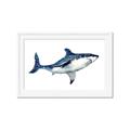 Picture of Shark Attack I   _GroupedProduct_Rectangle_Landscape_Mini_ _GroupedProduct_Rectangle_Landscape_Framed_Matted_