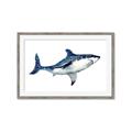 Picture of Shark Attack I   _GroupedProduct_Rectangle_Landscape_Mini_ _GroupedProduct_Rectangle_Landscape_Framed_Matted_