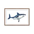 Picture of Shark Attack I   _GroupedProduct_Rectangle_Landscape_Mini_ _GroupedProduct_Rectangle_Landscape_Framed_Matted_
