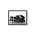 Picture of Hockey Accessories _GroupedProduct_Rectangle_Landscape_Mini_ _GroupedProduct_Rectangle_Landscape_Framed_Matted_