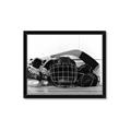 Picture of Hockey Accessories _GroupedProduct_Rectangle_Landscape_Mini_ _GroupedProduct_Rectangle_Landscape_Framed_Matted_