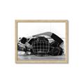 Picture of Hockey Accessories _GroupedProduct_Rectangle_Landscape_Mini_ _GroupedProduct_Rectangle_Landscape_Framed_Matted_