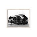 Picture of Hockey Accessories _GroupedProduct_Rectangle_Landscape_Mini_ _GroupedProduct_Rectangle_Landscape_Framed_Matted_