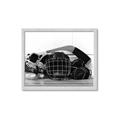 Picture of Hockey Accessories _GroupedProduct_Rectangle_Landscape_Mini_ _GroupedProduct_Rectangle_Landscape_Framed_Matted_