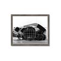 Picture of Hockey Accessories _GroupedProduct_Rectangle_Landscape_Mini_ _GroupedProduct_Rectangle_Landscape_Framed_Matted_