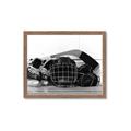 Picture of Hockey Accessories _GroupedProduct_Rectangle_Landscape_Mini_ _GroupedProduct_Rectangle_Landscape_Framed_Matted_