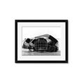 Picture of Hockey Accessories _GroupedProduct_Rectangle_Landscape_Mini_ _GroupedProduct_Rectangle_Landscape_Framed_Matted_