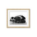Picture of Hockey Accessories _GroupedProduct_Rectangle_Landscape_Mini_ _GroupedProduct_Rectangle_Landscape_Framed_Matted_