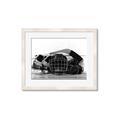 Picture of Hockey Accessories _GroupedProduct_Rectangle_Landscape_Mini_ _GroupedProduct_Rectangle_Landscape_Framed_Matted_