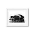 Picture of Hockey Accessories _GroupedProduct_Rectangle_Landscape_Mini_ _GroupedProduct_Rectangle_Landscape_Framed_Matted_