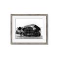Picture of Hockey Accessories _GroupedProduct_Rectangle_Landscape_Mini_ _GroupedProduct_Rectangle_Landscape_Framed_Matted_