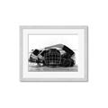 Picture of Hockey Accessories _GroupedProduct_Rectangle_Landscape_Mini_ _GroupedProduct_Rectangle_Landscape_Framed_Matted_