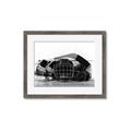Picture of Hockey Accessories _GroupedProduct_Rectangle_Landscape_Mini_ _GroupedProduct_Rectangle_Landscape_Framed_Matted_