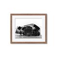 Picture of Hockey Accessories _GroupedProduct_Rectangle_Landscape_Mini_ _GroupedProduct_Rectangle_Landscape_Framed_Matted_