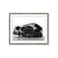 Picture of Hockey Accessories _GroupedProduct_Rectangle_Landscape_Mini_ _GroupedProduct_Rectangle_Landscape_Framed_Matted_