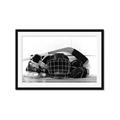 Picture of Hockey Accessories _GroupedProduct_Rectangle_Landscape_Mini_ _GroupedProduct_Rectangle_Landscape_Framed_Matted_