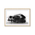 Picture of Hockey Accessories _GroupedProduct_Rectangle_Landscape_Mini_ _GroupedProduct_Rectangle_Landscape_Framed_Matted_