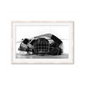 Picture of Hockey Accessories _GroupedProduct_Rectangle_Landscape_Mini_ _GroupedProduct_Rectangle_Landscape_Framed_Matted_