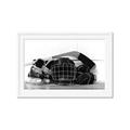 Picture of Hockey Accessories _GroupedProduct_Rectangle_Landscape_Mini_ _GroupedProduct_Rectangle_Landscape_Framed_Matted_