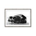 Picture of Hockey Accessories _GroupedProduct_Rectangle_Landscape_Mini_ _GroupedProduct_Rectangle_Landscape_Framed_Matted_
