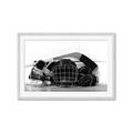 Picture of Hockey Accessories _GroupedProduct_Rectangle_Landscape_Mini_ _GroupedProduct_Rectangle_Landscape_Framed_Matted_