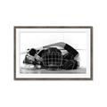 Picture of Hockey Accessories _GroupedProduct_Rectangle_Landscape_Mini_ _GroupedProduct_Rectangle_Landscape_Framed_Matted_
