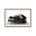 Picture of Hockey Accessories _GroupedProduct_Rectangle_Landscape_Mini_ _GroupedProduct_Rectangle_Landscape_Framed_Matted_