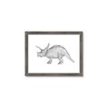 Picture of Baby Dino II _GroupedProduct_Rectangle_Landscape_Mini_ _GroupedProduct_Rectangle_Landscape_Framed_Matted_