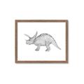 Picture of Baby Dino II _GroupedProduct_Rectangle_Landscape_Mini_ _GroupedProduct_Rectangle_Landscape_Framed_Matted_