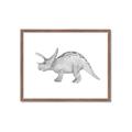 Picture of Baby Dino II _GroupedProduct_Rectangle_Landscape_Mini_ _GroupedProduct_Rectangle_Landscape_Framed_Matted_