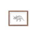 Picture of Baby Dino II _GroupedProduct_Rectangle_Landscape_Mini_ _GroupedProduct_Rectangle_Landscape_Framed_Matted_