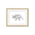 Picture of Baby Dino II _GroupedProduct_Rectangle_Landscape_Mini_ _GroupedProduct_Rectangle_Landscape_Framed_Matted_
