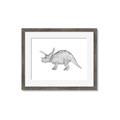 Picture of Baby Dino II _GroupedProduct_Rectangle_Landscape_Mini_ _GroupedProduct_Rectangle_Landscape_Framed_Matted_