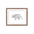 Picture of Baby Dino II _GroupedProduct_Rectangle_Landscape_Mini_ _GroupedProduct_Rectangle_Landscape_Framed_Matted_