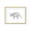 Picture of Baby Dino II _GroupedProduct_Rectangle_Landscape_Mini_ _GroupedProduct_Rectangle_Landscape_Framed_Matted_