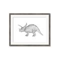 Picture of Baby Dino II _GroupedProduct_Rectangle_Landscape_Mini_ _GroupedProduct_Rectangle_Landscape_Framed_Matted_