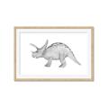Picture of Baby Dino II _GroupedProduct_Rectangle_Landscape_Mini_ _GroupedProduct_Rectangle_Landscape_Framed_Matted_