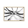 Picture of Hockey Sticks _GroupedProduct_Rectangle_Landscape_Mini_ _GroupedProduct_Rectangle_Landscape_Framed_Matted_