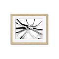 Picture of Hockey Sticks _GroupedProduct_Rectangle_Landscape_Mini_ _GroupedProduct_Rectangle_Landscape_Framed_Matted_