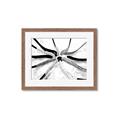 Picture of Hockey Sticks _GroupedProduct_Rectangle_Landscape_Mini_ _GroupedProduct_Rectangle_Landscape_Framed_Matted_