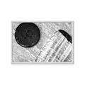 Picture of Hockey Puck _GroupedProduct_Rectangle_Landscape_Mini_ _GroupedProduct_Rectangle_Landscape_Framed_Matted_