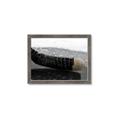 Picture of Face Off _GroupedProduct_Rectangle_Landscape_Mini_ _GroupedProduct_Rectangle_Landscape_Framed_Matted_