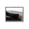 Picture of Face Off _GroupedProduct_Rectangle_Landscape_Mini_ _GroupedProduct_Rectangle_Landscape_Framed_Matted_
